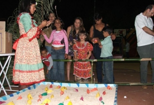 imagemz094